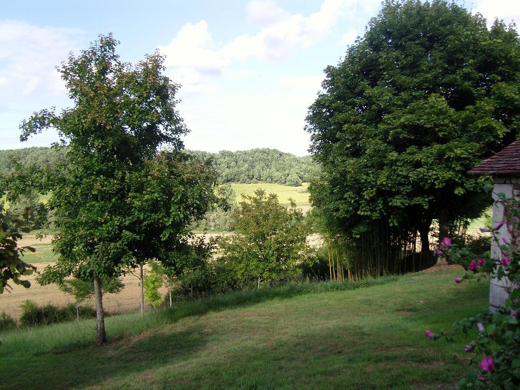 Gite De Serre Le Grand-Pressigny Номер фото